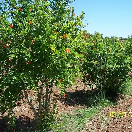 Casa Le Ginestre *