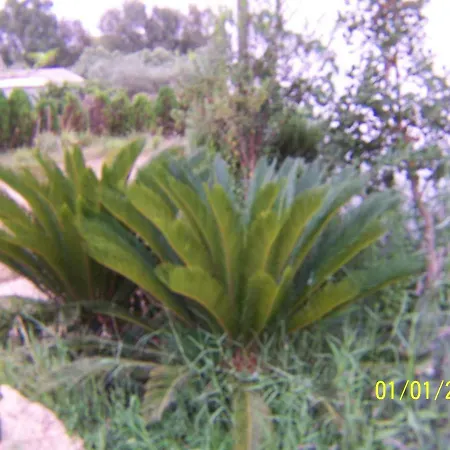 Casa Le Ginestre *